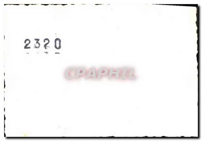 Grupa czterech osób obok jeziora — park — 2320 — Rewers