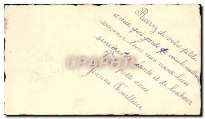 Bouquet de fleurs — panier de pivoines et de fleurs bleues — éditeur non visible — Verso