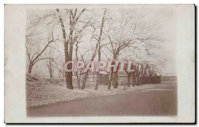 Vista de um caminho cercado por árvores nevadas — editor não identificado