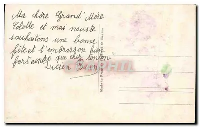 Arranjo de violetas — Boa festa — editor anônimo, n.º 317 — Verso