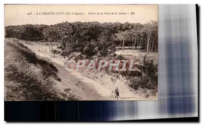 A Grande-Côte (Côte d'Argent) — Entrada da Floresta da Coubré — Bloc Frères, Bordeaux, n° 378