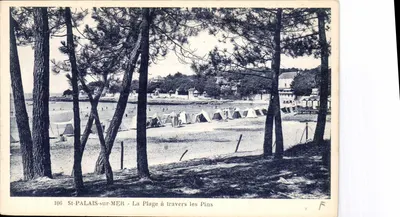 St-Palais-sur-Mer — A Praia Através dos Pinheiros — Edição Nouvelles Galeries St-Palais-sur-Mer n°106