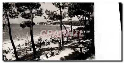 Praia de Ronce-les-Bains — vista da floresta — Éditions Gaby