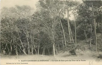 SAINT-GEORGES de-DIDONNE — Um Canto de Floresta perto do Trier de la Tache — Edição da Côte Santonne, n°9