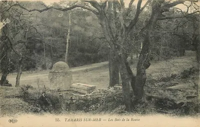 TAMARIS SUR-MER — Les Bois de la Rouve — Editor ELD, n° 55