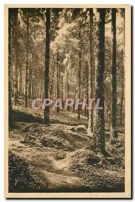 Floresta da Doce França — Bretagne — Edições HUBLOT