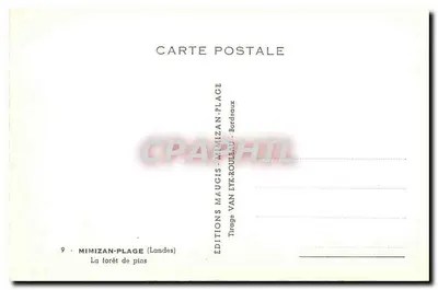 Floresta de pinheiros — Landes — Edições Mimizan-Plage — Verso