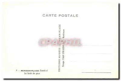 Floresta de pinheiros — Mimizan-Plage (Landes) — Éditions Maugis, Mimizan-Plage — Verso