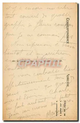 Hyères — Avenida Beauregard e Grand Hôtel des Palmiers — Selecta LL — Verso