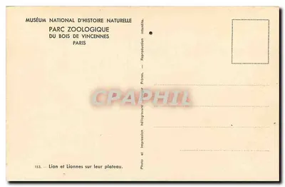 Lion i lwy na ich podwyższeniu — Muzeum Narodowe Nauk Przyrodniczych, Ogrodzie Zoologicznym w Lasie Vincennes, Paryż — Fotografia i Druk Bracia — Rewers