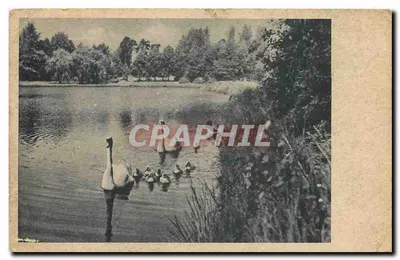 Berlin-Hermsdorf — Am Waldsee — Munier Nr. 1568