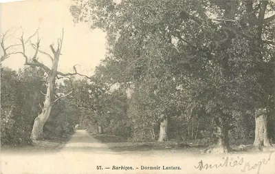 Barbizon - Quarto de Dormir Lantara — vista de grandes árvores e caminho — editor Amilie's Projet, n° 57