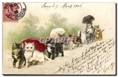 Gatos sob guarda-chuvas — Paris — editor Ch. Chopin, n° 2045-3