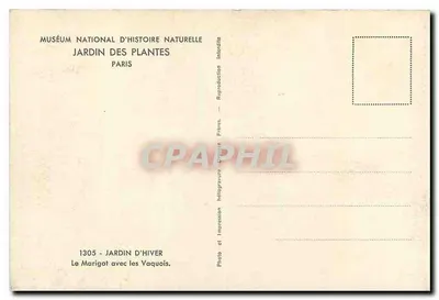 Ogród Zimowy — Le Marigot z Vaquois — Muséum national d'Histoire naturelle, Paryż — Rewers