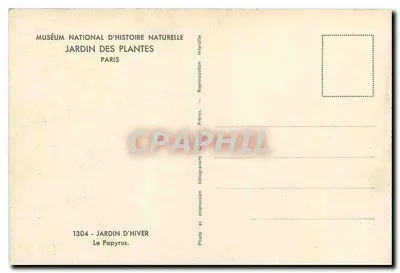 Ogród Zimowy — Papyrus — Muzeum Narodowe Nauki Przyrodniczej, Ogród Botaniczny, Paryż — Rewers