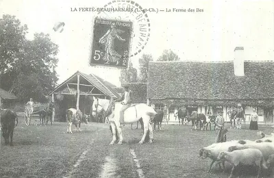 La Ferté-Beauharnais (L...-et-Ch.) — A Fazenda das Ilhas
