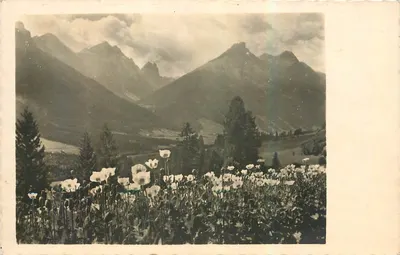 Sainte-Marie aux Mines — Vista das montanhas, a vallé, as flores da primavera — Echle Photographie, Foto Heinig