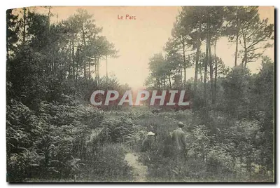 RODAN — Port — Wydawca: Le Parc — Rewers