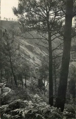 As Alpes Mancelles — Saint-Léonard-des-Bois (Sarthe) — Versante do Haut-Fourché — Fotografia Verdadeira Reprodução Proibida — editor Cim