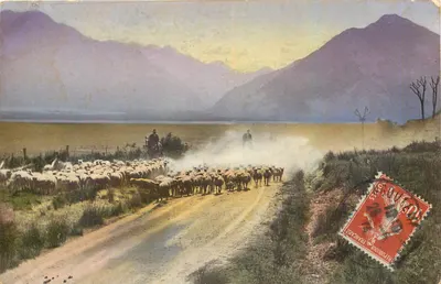 Transumância de ovelhas — montanhas e lago — editor não identificado
