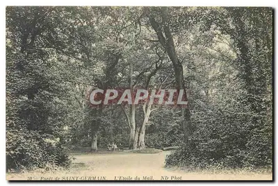 Floresta de SAINT-GERMAIN — A Estrela do Mail — ND Phot
