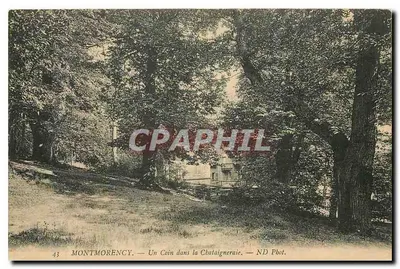Montmorency — Um Canto na Chalaigneraie — ND Fot.