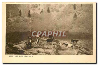 Lago dos Perches — vista de montanha com animais — editor Brâlun & Cie, Dernach, n° 2353