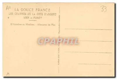 Charmy Côte d'Argent — Morze i Las — Wydawnictwo Sztuki YVON, Néantil — Rewers