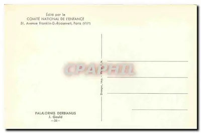 Perroquet à tête bleue — illustration naturaliste — édité par le Comité National de l'Enfance, série -56- — Verso