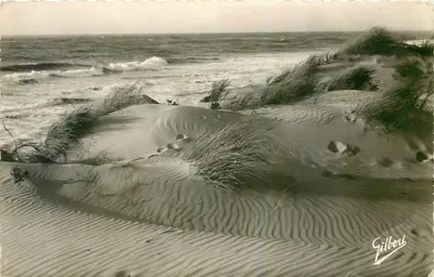 As Dunas e o Oceano — Souillac-sur-Mer — Edições Charentaises d'Art. GILBERT, n°230