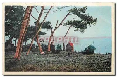 Les Pins — A Praia — Hyères-les-Palmiers (Var) — editor não visível