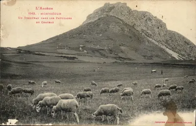 L'Ariège - Montségur - Um rebanho nos Paturages do Castelo — Fototipo Lacombe, Toulouse