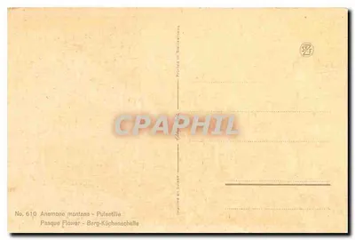 Anémone montana — Pulsatilla — Impressa na Suíça, n° 610 — Verso
