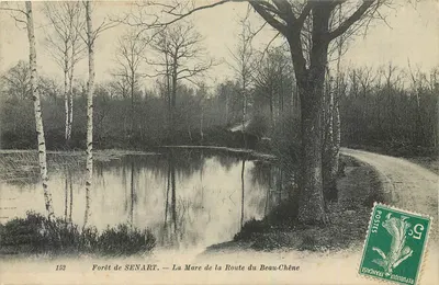 Floresta de SENART — La Mare de la Route du Beau-Chêne — n°152
