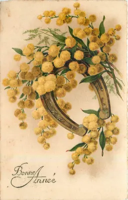 Arranjo de mimosa em um ferro de cavalo — Boa Ano — editor Piltius, n° 852