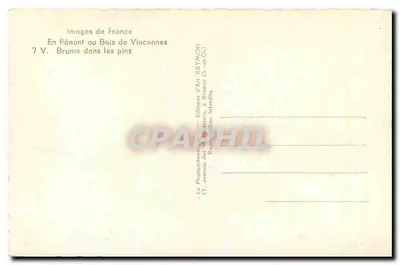 Las Vincennes — Mgiełka wśród sosnowego lasu — Wydawnictwo Art Raymon — Rewers