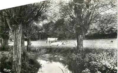 Villecresnes (S.-et-O.) — Margens do Réveillon — Combier (S.-et-L.)