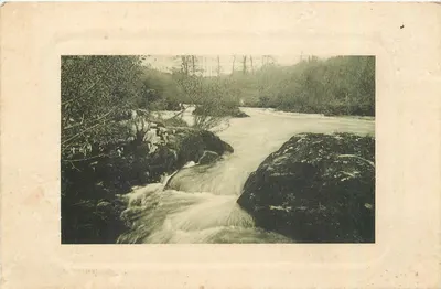 Cachoeira — paisagem florestal — Editor E.D. (verso)