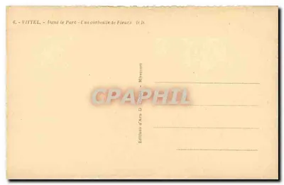 VITTEL - W parku - Koszyk z kwiatami - D.D. — Rewers