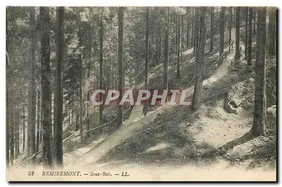 Remiremont — Sub-Floresta — LL.