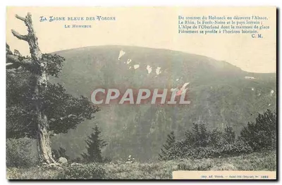 A Linha Azul dos Vosgues — O Hohneck — Imp. Ad. Wotek, Saint-Dié (Dép. 1083)