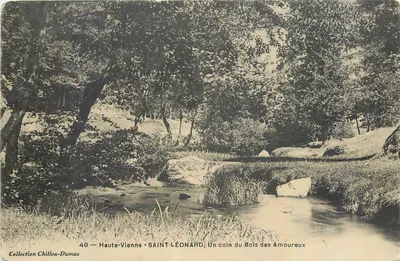 Saint-Léonard — Haute-Vienne, Um canto do Bois des Amoureux — Coleção Chillo-Dumas, n°40