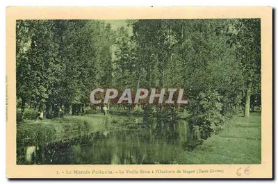 O Marais Poitevin — A Vizille Sèvre à l'Ouchette de Magné (Deux-Sèvres)