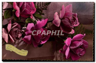 Rosas para aniversário — Fabricada na França — Série 1001