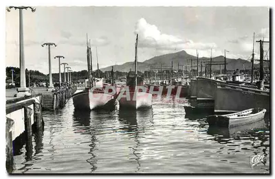 Vista do Portos de Saint-Jean-de-Luz — editor Graphphil, n° [59]