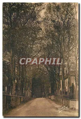 Les Allées — Cambo-les-Bains (B.P.) — Fototipia Marcel Dalboy, Bordeaux