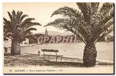 Sanary — Vista através dos Palmeiros — LL, n°28