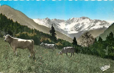 Pâturage alpino — S. Martin por S. Egrève — Edição de Arte Grenoble