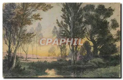 Paisagem florestal ao entardecer — editor não visível, número de série não visível