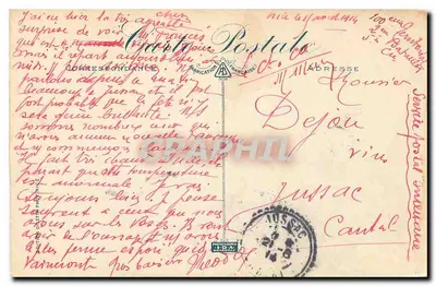 Nice — Palmiery w zamku — Karta pocztowa nr 12, wydana przez Carte Postale Française — Rewers